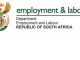 Department of Employment and Labour Client Service Officer