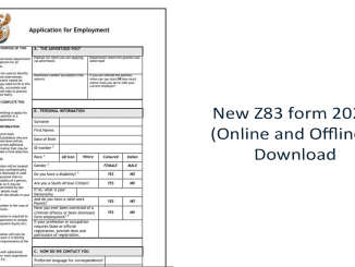 New Z83 form 2023 (Online and Offline): Download