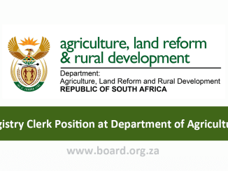 Registry Clerk Position at Department of Agriculture