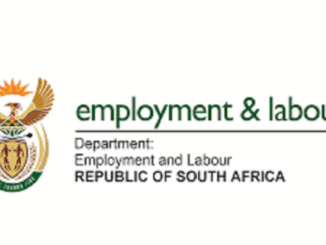 Department of Employment and Labour Client Services Officer Vacancy