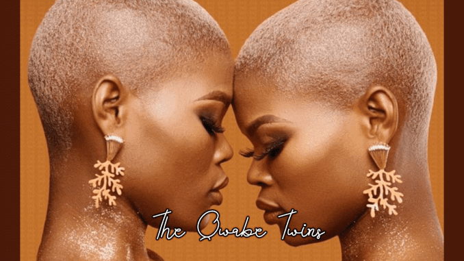 The Qwabe Twins Breaking Barriers in the Music Industry The Qwabe Twins: Breaking Barriers in the Music Industry