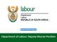 Department of Labour: Deputy Director Position