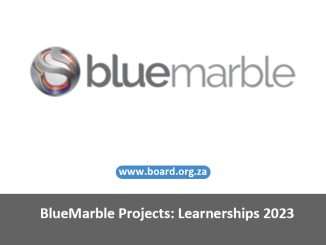 BlueMarble Projects: Learnerships 2023