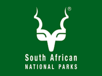 South African National Parks: Internships 2024