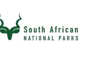 SA National Parks: Financial Accounting/Internal Auditing Internships 2024