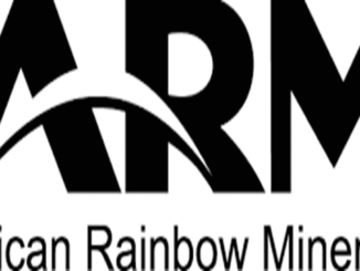 African Rainbow Minerals Bursaries 2024