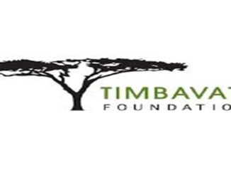 Timbavati Foundation YES Internships 2024
