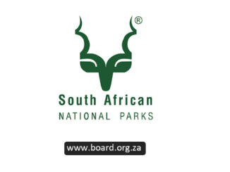 SANParks Internship Programme Opportunity (Tokai Office)