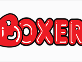 Boxer Superstores Graduates Internships 2025