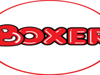 Boxer Superstores Graduates Internships
