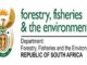 Department of Forestry Fisheries and the Environment Bursaries