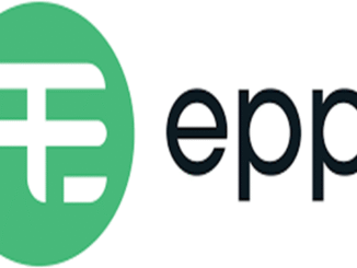 EPPF Graduates Internships 2025