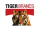 Tiger Brands Bursary for 2025