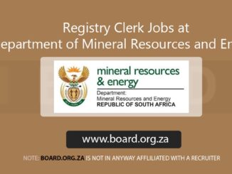 Registry Clerk Jobs at Department of Mineral Resources and Energy