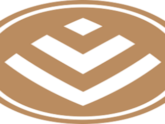 Discovery Service Consultant Internships 2025