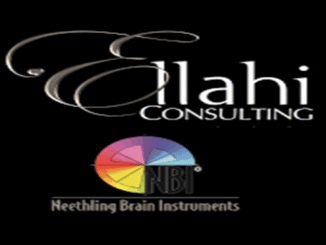 Ellahi Consulting Car Rental Agents 