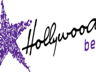 Hollywoodbets Sales Agent Field Vacancies