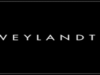Weylandts Furniture Cape Town (Pty) Ltd Visual Merchandiser