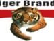 Tiger Brands Future Leaders Graduates Internships 2026