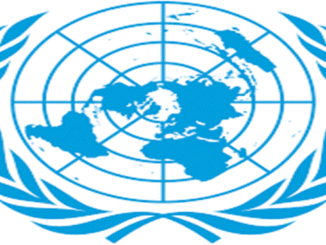 United Nations Administrator and Project Support Internships