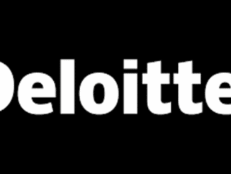 Deloitte Data Analyst Graduates Internships