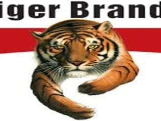 Tiger Brands Marketing Workplace Experience Students 2025
