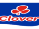 Clover Call Centre Learnerships 2025 / 2026