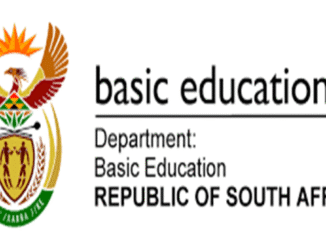 Department of Basic Education Internship Programme
