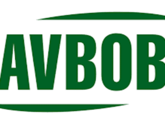 AVBOB & INSETA Learnership Opportunities 2026