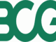 Boston Consulting Group Internships 2026