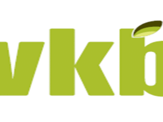 VKB Group Temporary Admin Assistant