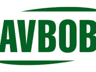 AVBOB Long Term Learnership Opportunities 2026
