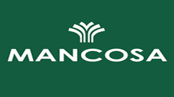 MANCOSA PTY LTD Graphic Designer intern