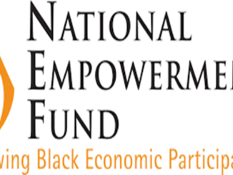 National Empowerment Fund Graduates Internships 2026