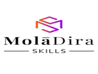 Moladira Skills Field Sales Agent Vacancies