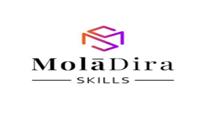 Moladira Skills Field Sales Agent Vacancies